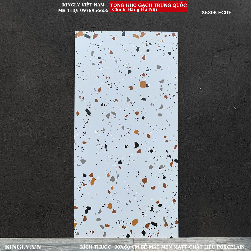 Gạch Terrazzo giả đá 30x60 36205